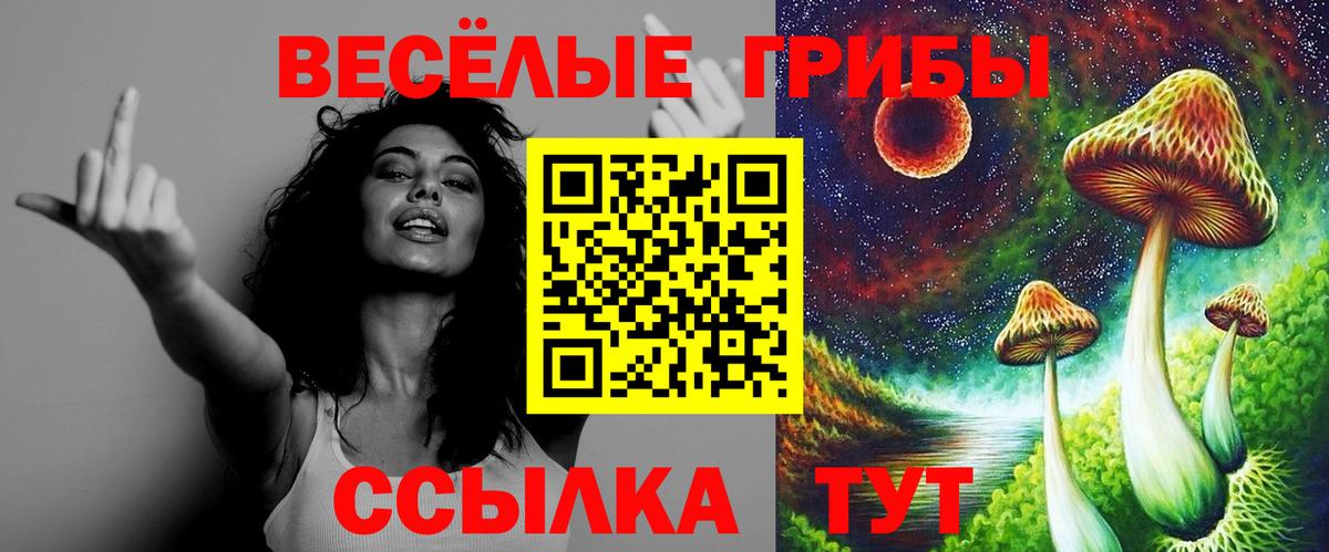 Псилоцибиновые грибы Psilocybe  Вход с VPN  Псилоцибиновые грибы Magic Shrooms  Малгобек 