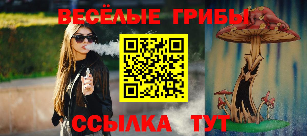Псилоцибиновые грибы ЛСД Малгобек